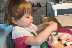 photo_2018-01-22_19-41-15 Kopieer