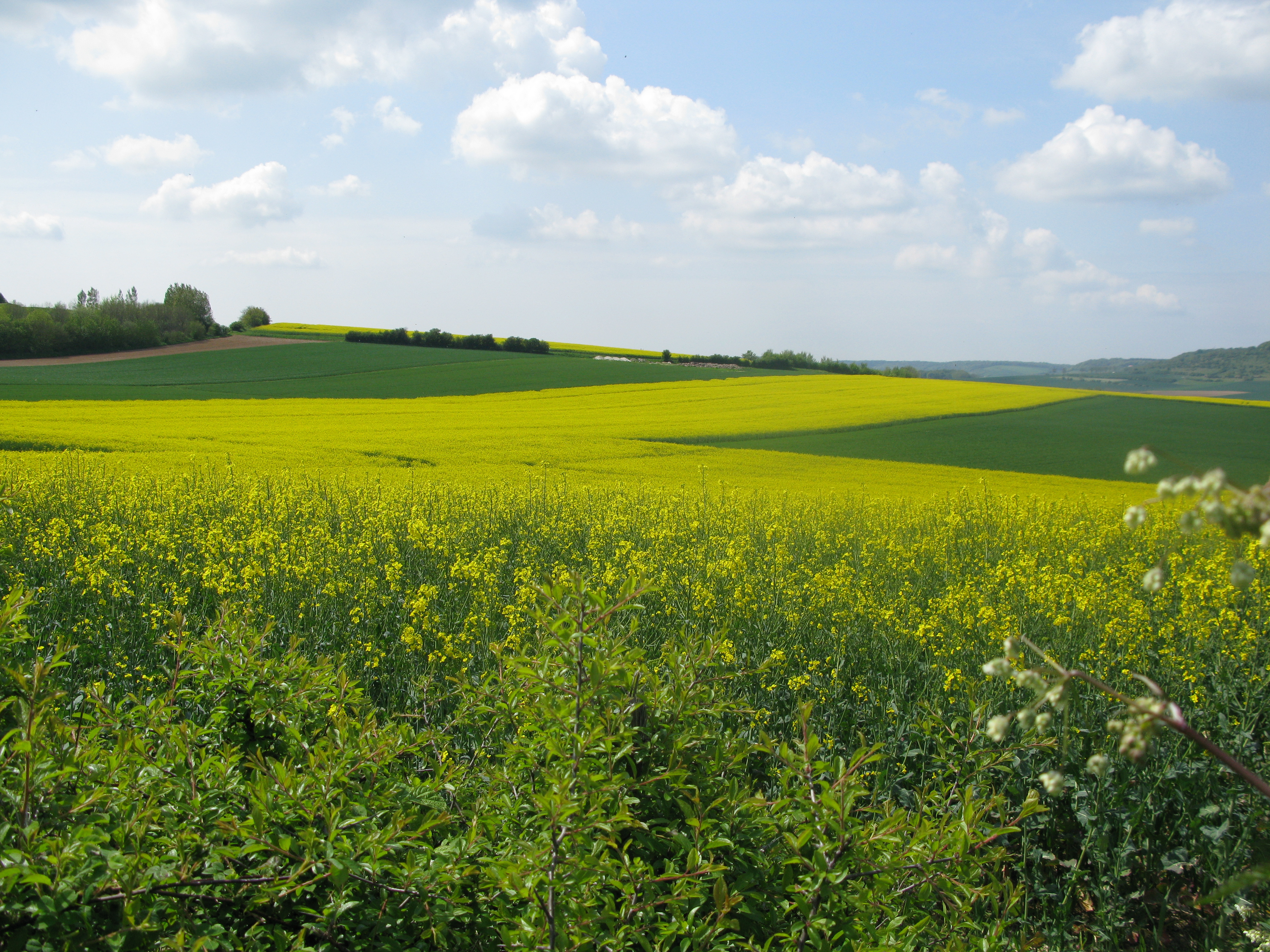 Uitstap Audenfort 05/10 
